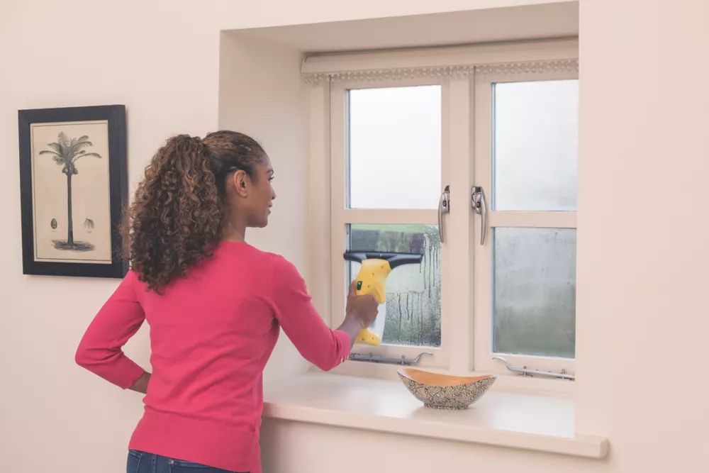 Karcher WV 1 Cordless Window Vacuum 4 Karcher WV 1 Cordless Window Vacuum - Image 4