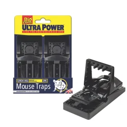 The Big Cheese Ultra Power Plastic & Stainless Steel Mouse Traps 2 Pack